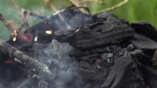 Ramos Madeira Queima Carvão Grelha Para Cozinhar Alimentos Fritos Close — Vídeo de Stock