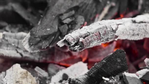 Burning Smolders Charcoal Close — Stock Video