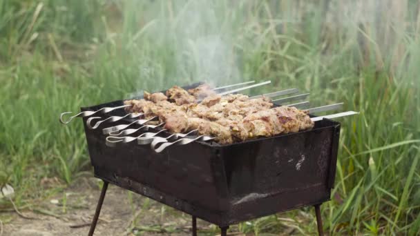 Сырое Мясо Жарят Шашлыках Гриле Закрывай Приготовление Шашлыка — стоковое видео
