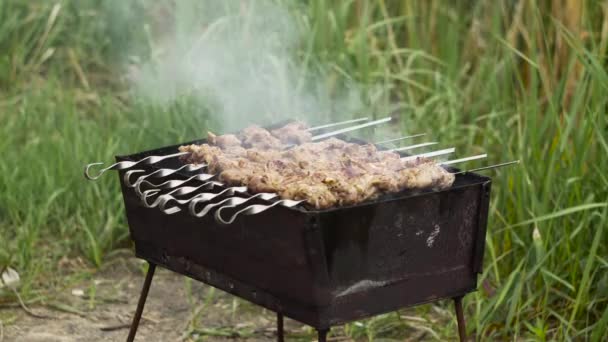 Άνθρωπος Γυρίζει Σουβλάκια Κρέας Στη Σχάρα Αργή Κίνηση Κλείστε Μαγείρεμα — Αρχείο Βίντεο