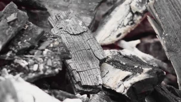 Спалювання Колонки Деревного Вугілля Крупним Планом — стокове відео