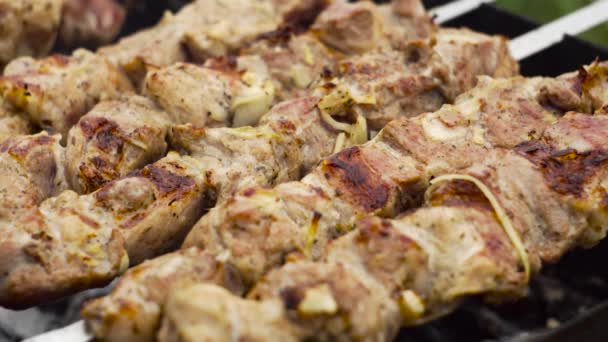 Köttet Stekt Spett Grillen Närbild Kokning Shashlik — Stockvideo