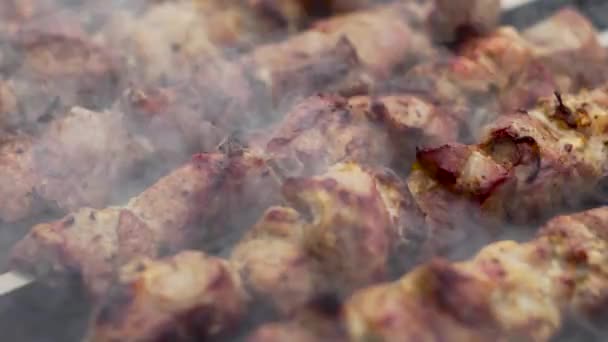 Κρέας Τηγανίζεται Σουβλάκια Στη Σχάρα Κλείστε Μαγείρεμα Του Shashlik — Αρχείο Βίντεο