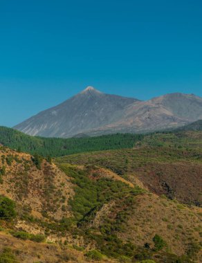 Mavi gökyüzü ve çam ormanı panoramik, Tenerife, Kanarya adaları, İspanya