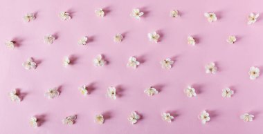 Pembe çiçekli bahar çiçeklerinin üst görünümü arka plan.