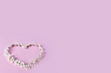 Kiraz çiçeklerinin kalbi izole edilmiş renk arkaplanı