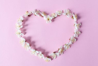 Kiraz çiçeklerinin kalbi izole edilmiş renk arkaplanı