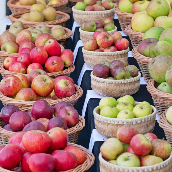 Apples on show UK — Stock Photo, Image