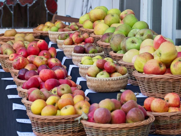 Varieties of apples on display at an English country fair — Stock Photo, Image