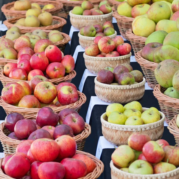 Varieties of apples on display at an English autumn fair — Stock Photo, Image