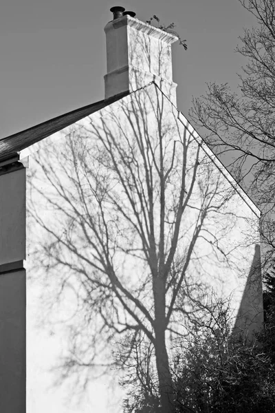 Schaduw van de boom op het einde van de gevel van een huis in fel zonlicht — Stockfoto