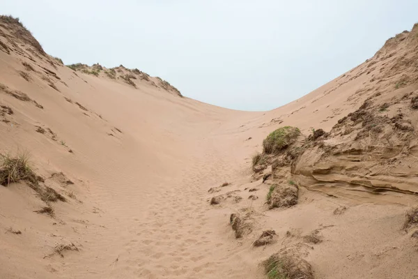 Sand dunes on the southern coast of England — Stock Photo, Image