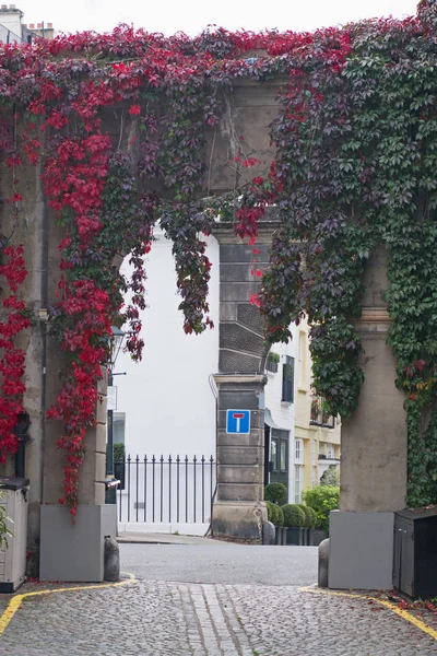 Un arco di mews in Londra Ovest con foglie che arrossiscono nella caduta — Foto Stock