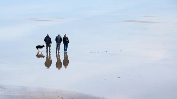 Westward England März 2019 Menschen Die Mit Einem Hund Strand — Stockfoto