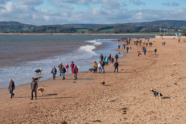 イギリスのエクスマス 11月の3 2019 天気の良い日は 人々を川のビーチに連れて行きますExeペットを運動させます 犬のための地元の地域のビーチへのアクセスは最近議論のためのホットな話題となっています — ストック写真