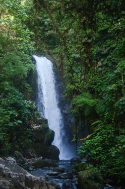 Kosta Rika şelaleler