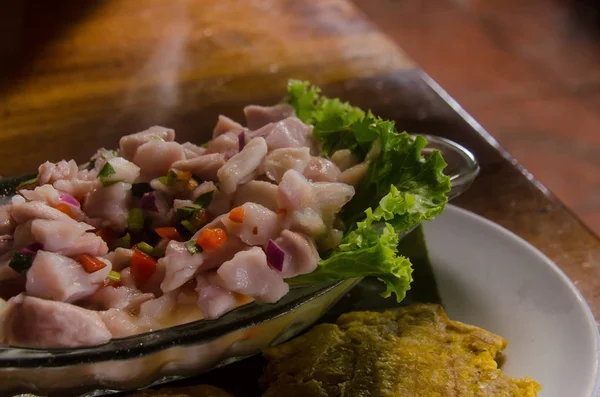 Ceviche Tradicional Costa Rica Con Patacones — Foto de Stock