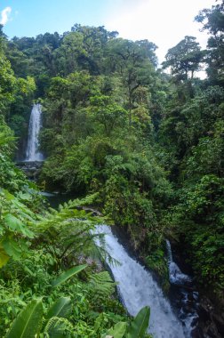 Kosta Rika şelaleler