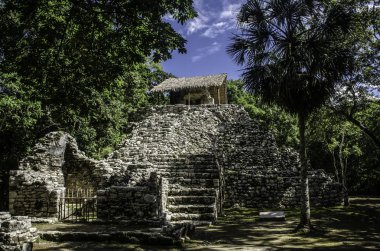 Meksika coba arkeolojik Maya sitesinde: Resim Sergisi grubu