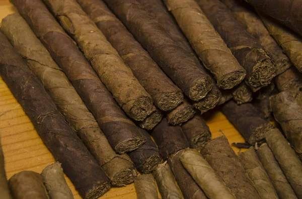 Handmade Traditional Mexican Cigars — Stock Photo, Image