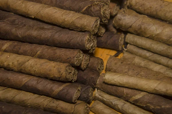 Handmade Traditional Mexican Cigars — Stock Photo, Image