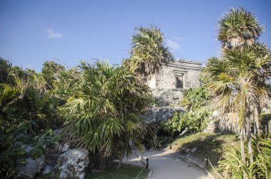 Tulum, Meksika'nın arkeolojik site: ev yarasalar