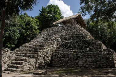 Coba: Resim Sergisi grubu