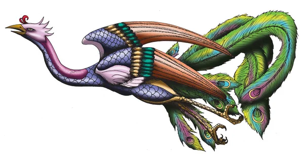 Çin Phoenix illüstrasyon izole