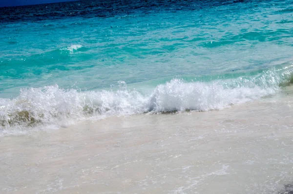 Tropical Beach Caribbean — Stock Photo, Image