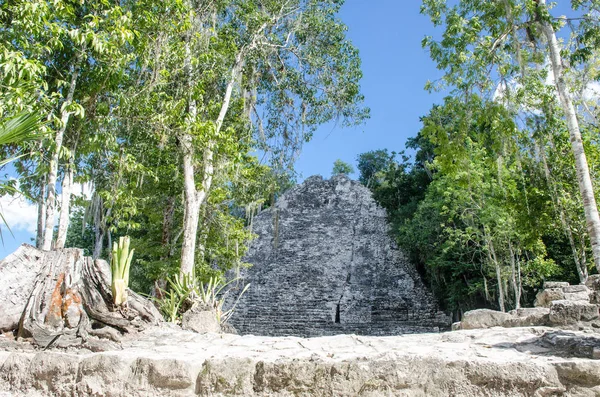 Coba: arkeolojik kilisede