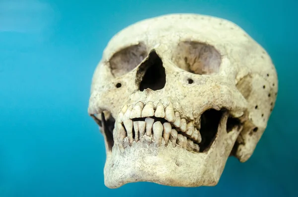 古代の装飾が施されたマヤの頭蓋骨 — ストック写真