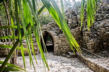 Antik kalıntılar ve ağaçlar Coba arkeolojik sitesi