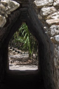 Meksika Maya yerlileri tarafından eski yapısı