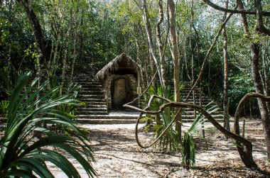 Antik kalıntılar ve ağaçlar Coba arkeolojik sitesi