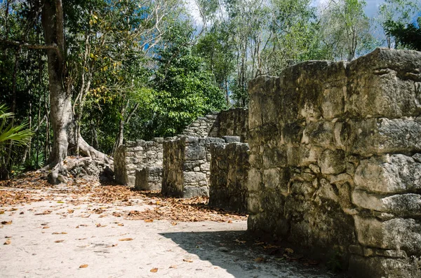 Estruturas Antigas Dos Antigos Mayas Colima México — Fotografia de Stock