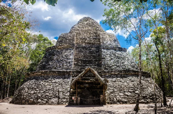 Antiche Rovine Alberi Nel Sito Archeologico Coba — Foto Stock