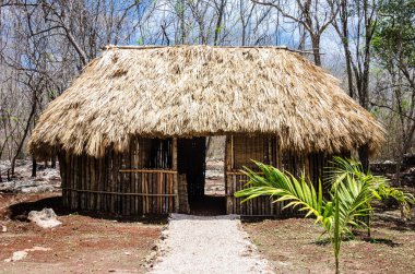 Maya bölgesi Meksika yerlileri tarafından ahşap tarihi yapılar/Mimariler