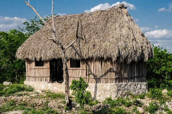 Antigua Construcción Madera Por Los Indígenas Zona Maya México — Foto de Stock