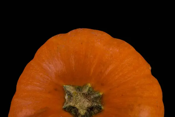 Pequena abóbora laranja sazonal com fundo preto — Fotografia de Stock