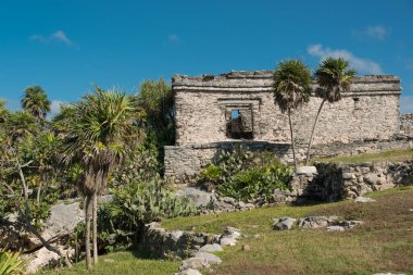 Cenote 'nin Antik Evi, Tulum
