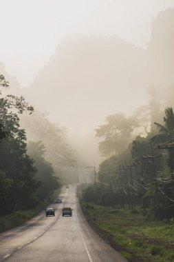 Bahçe içinde izole köşk.