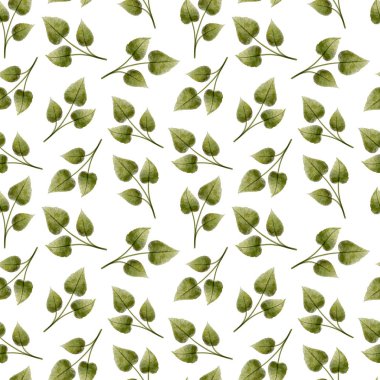 Yaprakların suluboya desenleri pürüzsüz