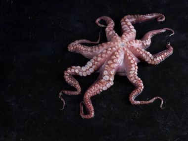 Siyah taş ham ahtapot