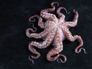 Siyah taş ham ahtapot