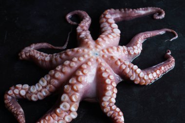 Siyah taş ham ahtapot