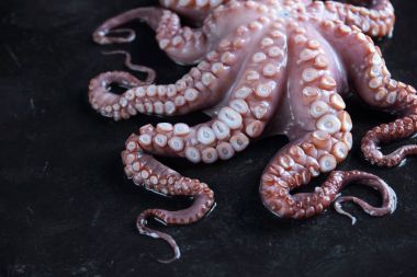 Siyah taş ham ahtapot