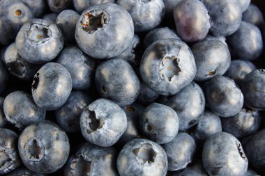 Yaban mersini ile su damlaları