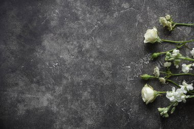 güzel beyaz çiçekler