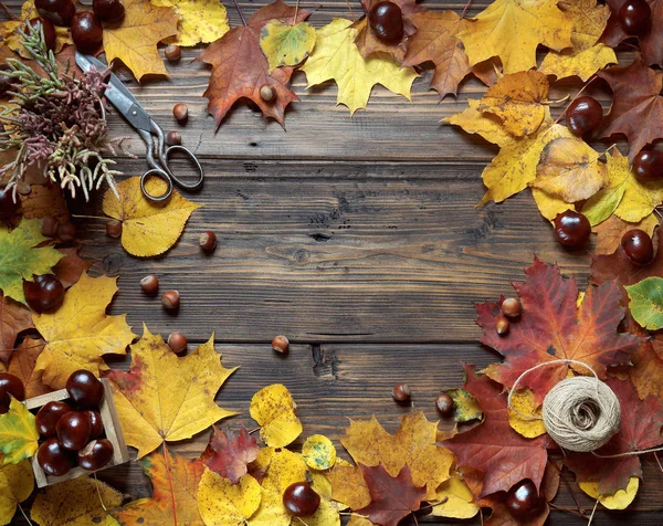 Frame van esdoorn bladeren met kastanjes — Stockfoto