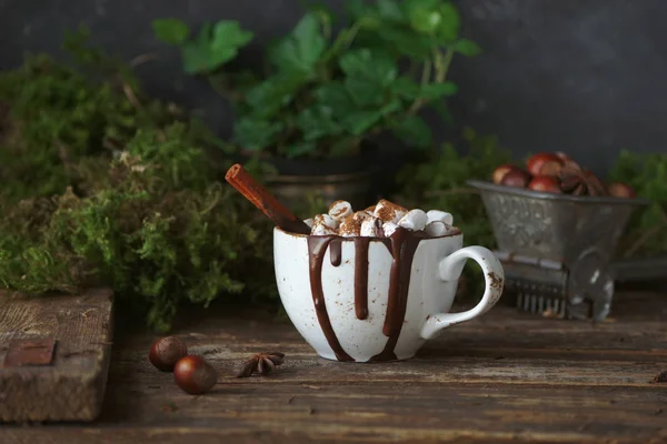Рождественский горячий шоколад с зефиром — стоковое фото